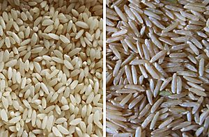 Khyma and Basmati rice