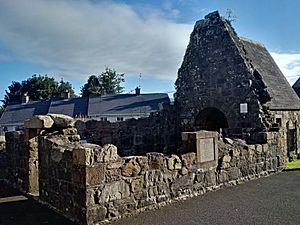 Killaloe (Co. Clare), St. Molua's Church (1)