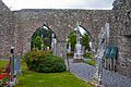 Kinalehin Friary Cloister and Arches 2009 09 17