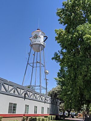 Kingsburg Swedish Coffee Pot Water Tower (3)