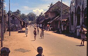 Kochi 1960 street