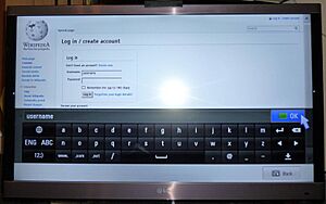 LG Smart TV web browser