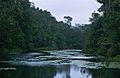 Lake in the Forest (9654486219)