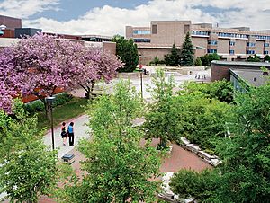 Lakehead University Summer Campus
