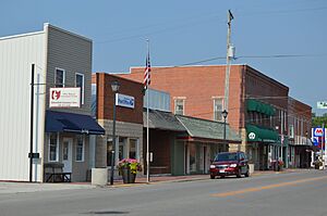 Lima west of Gormley, Forest