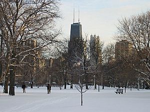 Lincoln Park Chicago 040124