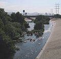 Los Angeles River Glendale