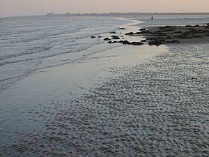 Low tide at Sandwich Bay, looking south - geograph.org.uk - 1002126