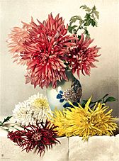 Mary Elizabeth Duffield - Chrysanthemums (11122339803)