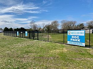 Millsboro Dog Park