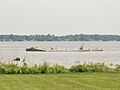 New Castle Ice Piers May 10