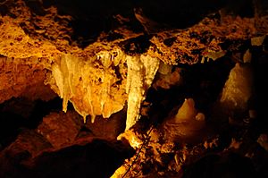 Ngilgi cave gnangarra 24