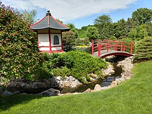 Normandale Community College 15 - Japanese garden