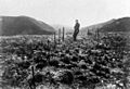 North-Canterbury-Earthquake-1888