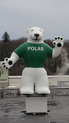 Orson the Bear Polar