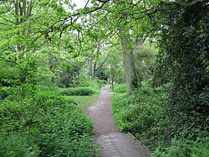 Path from Holt Copse - geograph.org.uk - 1288694.jpg