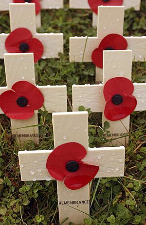 Poppies Mounted on Wooden Crosses for Remembrance Day 2003 MOD 45143469