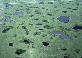Prairie Pothole Wetlands
