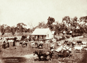 Queensland State Archives 2220 Selectors Homestead 1897