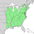 Quercus alba range map 1