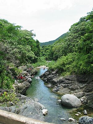 Rio Inabon along PR-511 in Barrio Real in Ponce (IMG 3406)