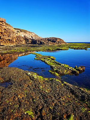 Rock pools and reflections at Sorrento, Mornington Peninsula National Park