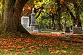 Ross Bay Cemetery Fall colors (1)