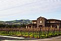 Ruby Hill Winery