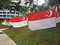 Singapore flag 5