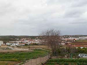View of La Rambla, Córdoba