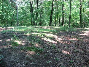 Tarlton Cross Mound from the south