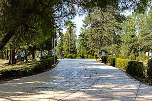 The Grand Park of Tirana 2016