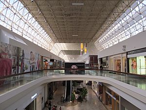 The Mall at Chestnut Hill MA.jpg