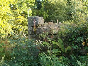 The Remaining Ruins of Newbyres Castle
