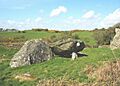 The remains of the twin chambers at Din Dryfol - geograph.org.uk - 787196