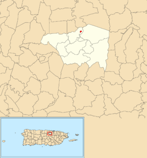 Location of Toa Alta barrio-pueblo within the municipality of Toa Alta shown in red