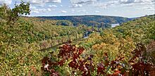 Top of Webb Mountain