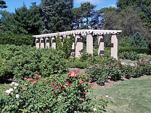 Vander Veer Rose Garden