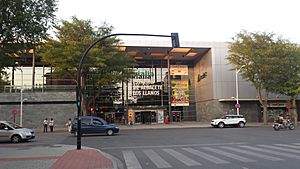 Vialia Estación de Albacete-Los Llanos. Albacete 3