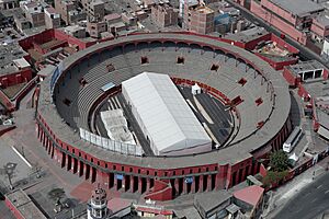 Vista aérea de la plaza de Acho en 2021
