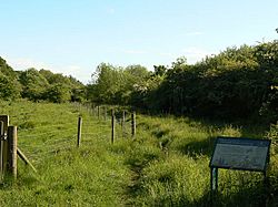 Wilwell Farm Cutting Nature Reserve - geograph.org.uk - 1323382