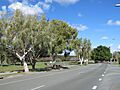Windaroo road alongside mem park