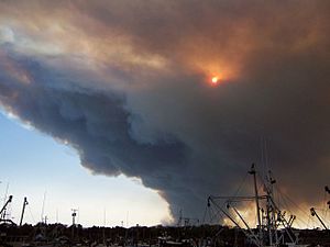2007 05 15 - Barnegat Light - Pine Barrens Forest Fire 4