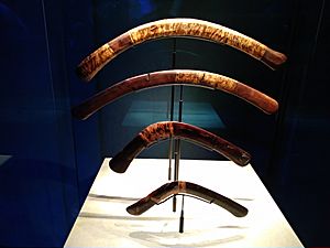 4 boomerangs du tombeau de Toutânkhamon