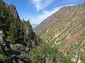 American Fork Canyon from Timpanogos Cave entrance.jpg