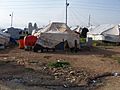 Arbat Transit Camp 3-3-2014