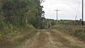 Avenue V southwest of Columbus Junction