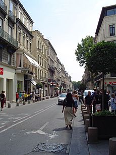 Avignon shops