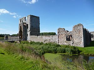 Baconsthorpe Castle 1