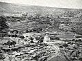 Bitar1893